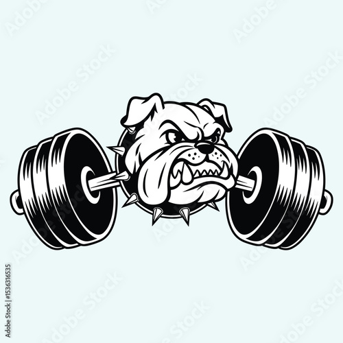 Strong bulldog head lifting heavy weight barbell
