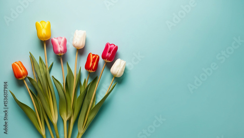 Bright tulips in one corner on smooth turquoise background with empty space. Clean minimalist layout ideal for seasonal or floral-themed designs.