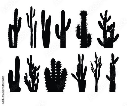 Cactus Silhouette Vector Set Collection