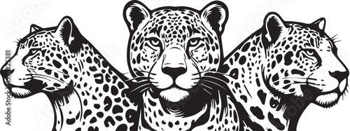 Black and White Jaguar Vector Illustration – Minimalist Wild Cat Silhouette Art	
