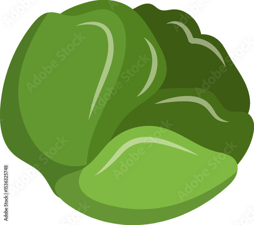Vegetable Illustration