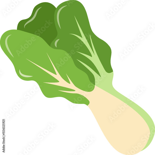 Vegetable Illustration