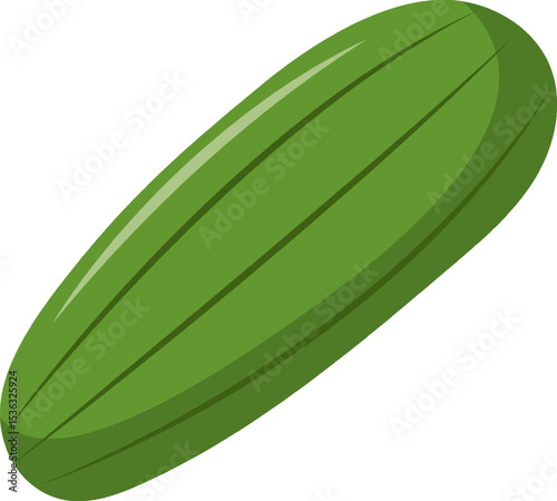Vegetable Illustration