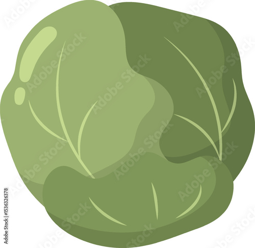 Vegetable Illustration