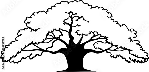 major oak  quercus robur  silhouette vector illust (1).eps