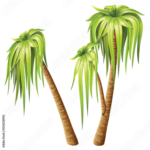 Palm trees isolated on white background.