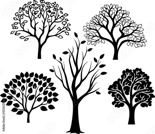 various deciduous trees silhouettes on the white b.eps