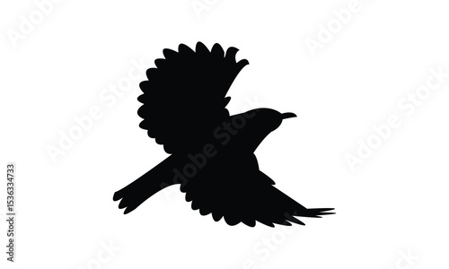 Ambon white-eye bird Silhouette Design  And Vector Illustration. 