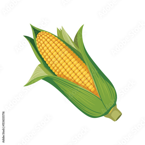 Fresh Corn Vector Illustration isolated on white background 