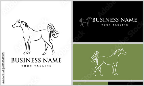 Arabian Horse Logo Design Variations. (1)