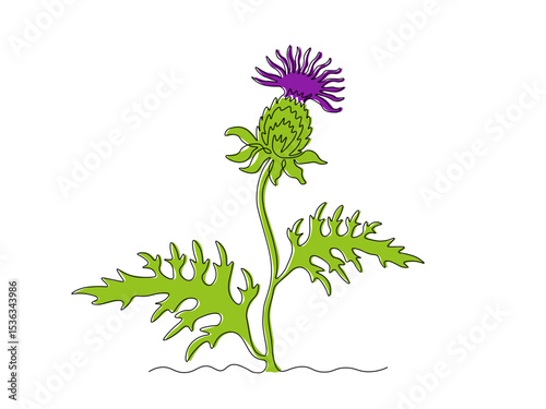 Abstract thorny flower thistle, milk thistle, silybum. continuous single one line art drawing sketch, logo