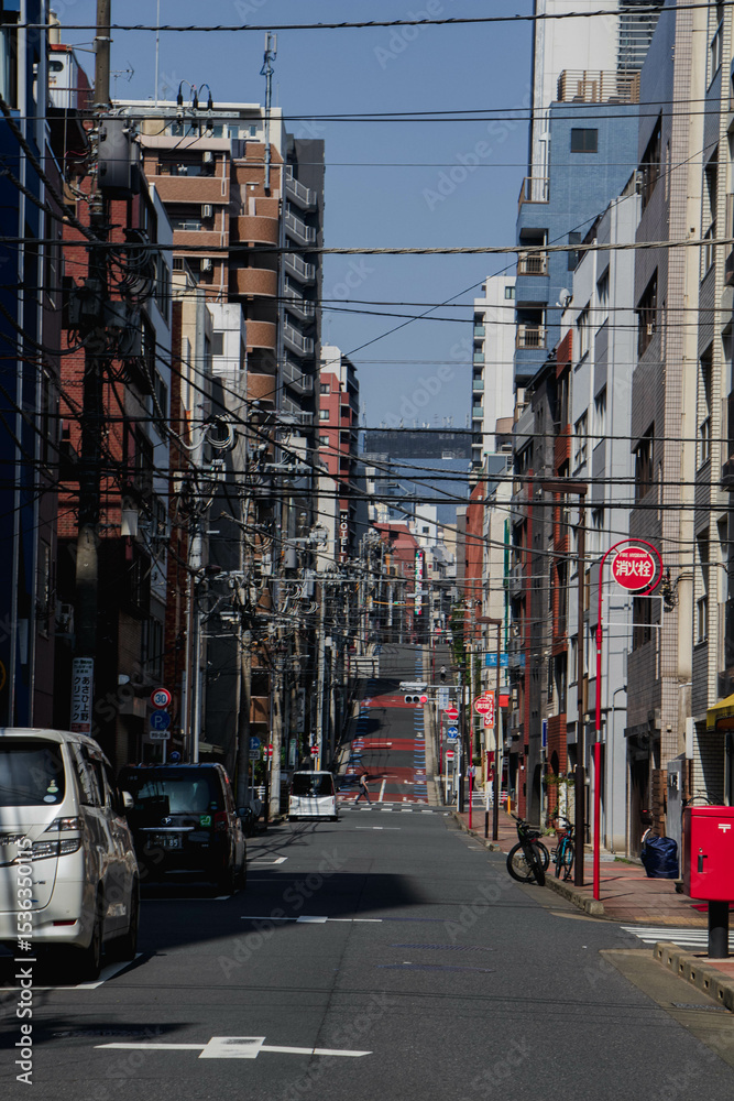 Fototapeta 
Depending on your needs and budget, Japan has a variety of tourist attractions