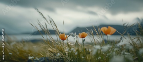 Icelandic Wedding Rings: A Serene Landscape