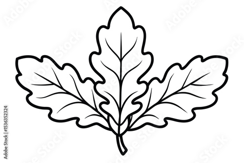 Elegant Oak Leaf Illustration Nature's Graceful Design