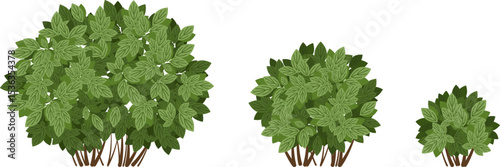 Green bushes set