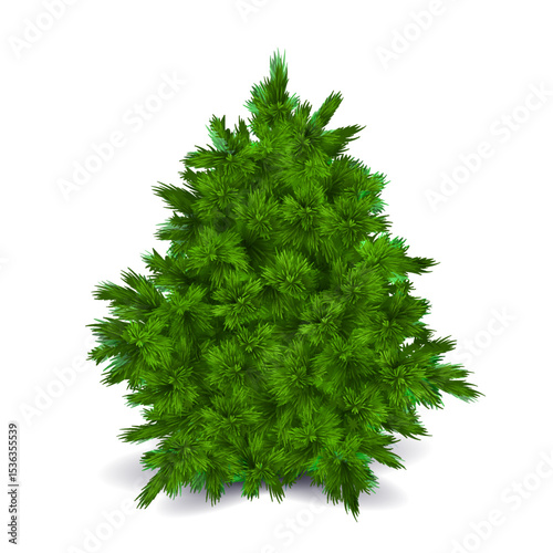 Blank Christmas Tree
