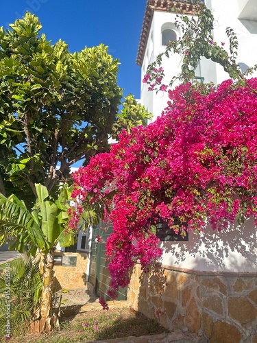  jardines de mar mediterráneo y sur de españa