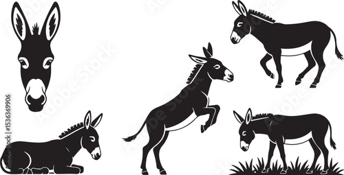 Black donkey icon set in various active and passive poses with bold hoof print silhouettes, ideal for educational or zoological visuals