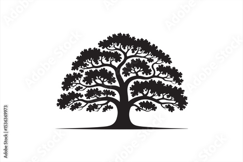 Sprawling Oak Tree Silhouette with Full Canopy and Branch Details