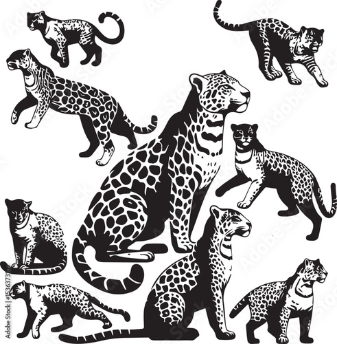 Black and White Jaguar Vector Illustration – Minimalist Wild Cat Silhouette Art	