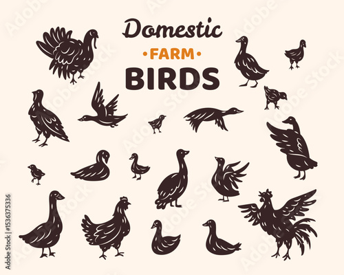 Farm icon. Silhouette domestic bird signs. Countryside animal. Duck and chicken. Rural goose. Flying drake. Quail chick. Village turkey. Farming poultry Livestock symbols set. Vector tidy illustration