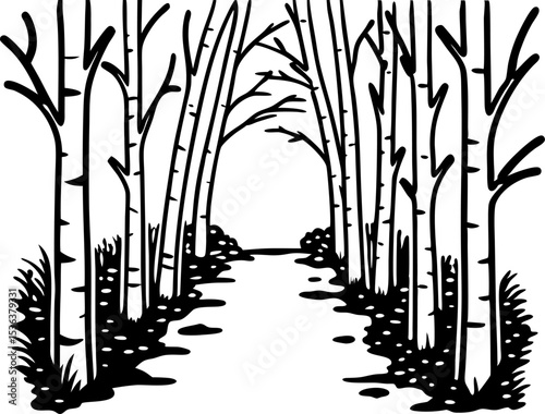 Bare winter trees forming an arch over forest pathway black and white illustration, leafless woodland nature scene