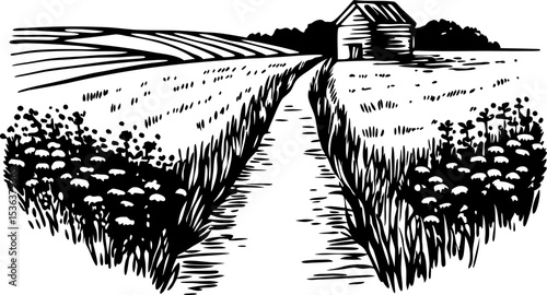 Rural farmland scene with dirt road, wooden barn, blooming wildflowers, and distant fields in black and white illustration
