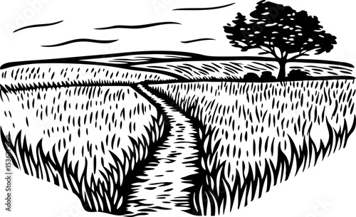 Winding path through grassy field with lone tree countryside rural landscape, open nature scene, tranquil summer meadow
