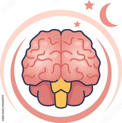 A cartoon brain with a moon and stars, symbolizing the brain's state during sleep. Represents mental rest, cognitive recovery, sleep science, and circadian rhythm.