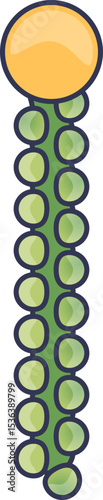 A stylized illustration of a fatty acid chain. It features a large yellow hydrophilic head and a long, straight green hydrophobic tail, representing its molecular structure.
