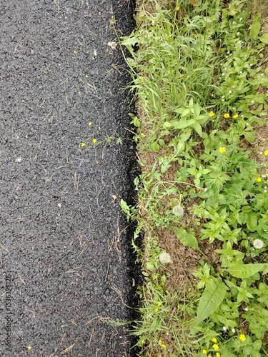 grass and paving stones in a flat strip