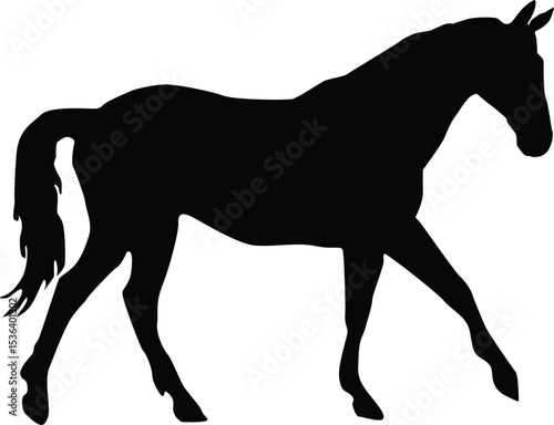 horse silhouette