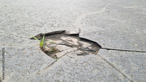 Cracked grey marble stone texture with dark fissures and detailed rough surface. Large crack in a tiled floor, in a urban slate road surface, suggesting structural damage.  Perfect for backgrounds.