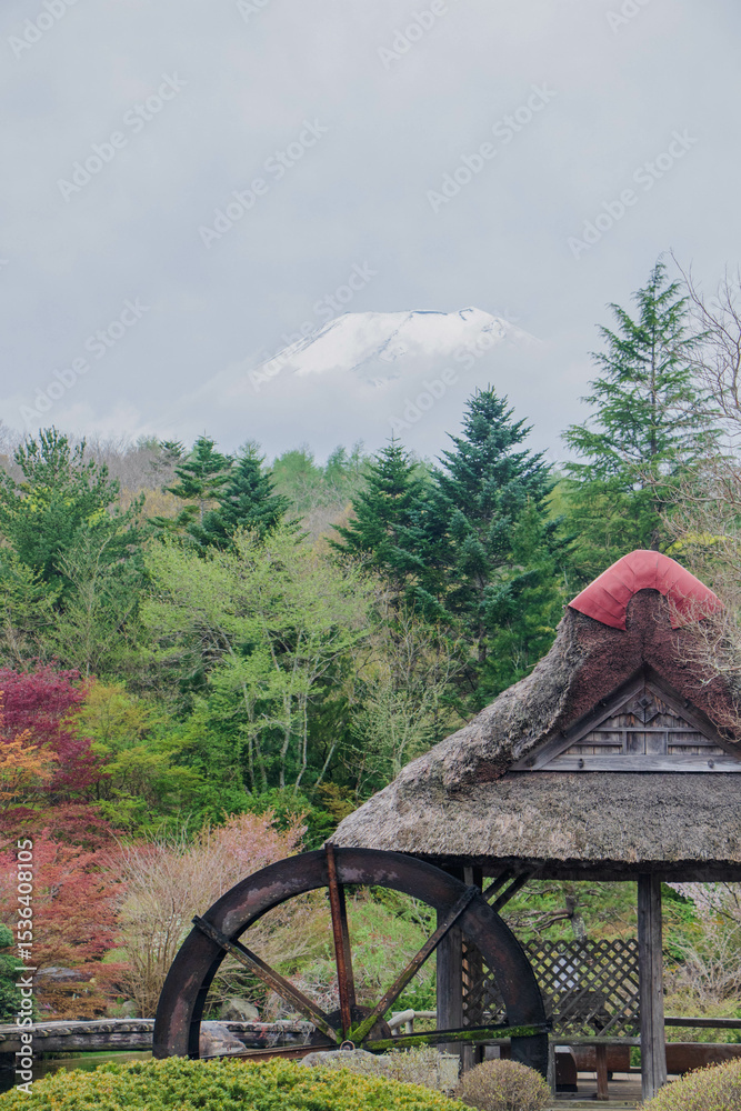 Fototapeta premium Japan is beautiful whenever you visit