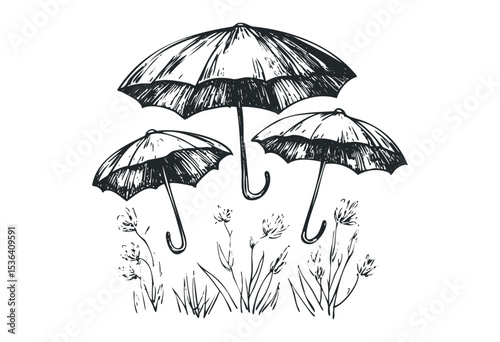 Sketch of three umbrellas hovering above grass in artistic style. Vector retro hand drawn illustration