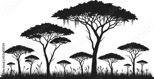 African tree forest silhouette, acacia trees in savanna, wild jungle vector illustration, natural landscape design, black forest silhouette scene