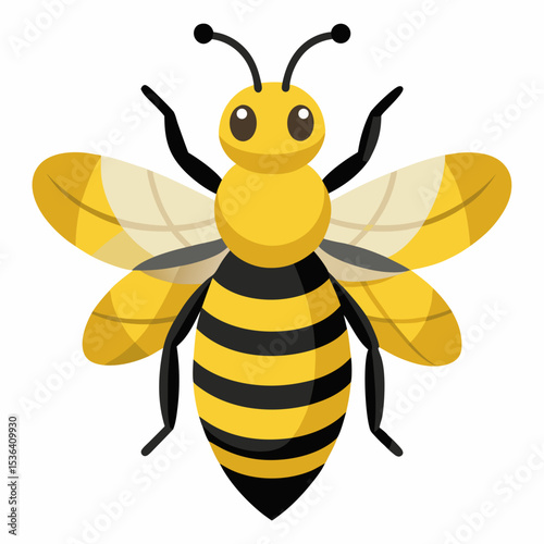 bee on white background
