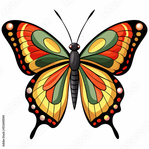 butterfly vector illustration