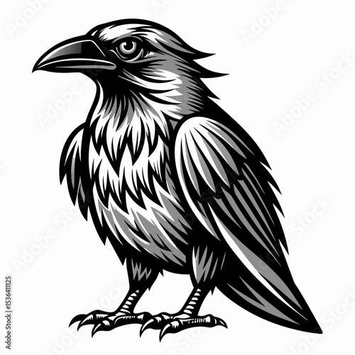 vector illustration of an eagle