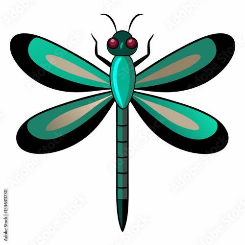 dragonfly vector illustration