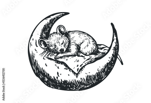 Adorable mouse sleeping on crescent moon in detailed sketch style. Vector retro hand drawn illustration