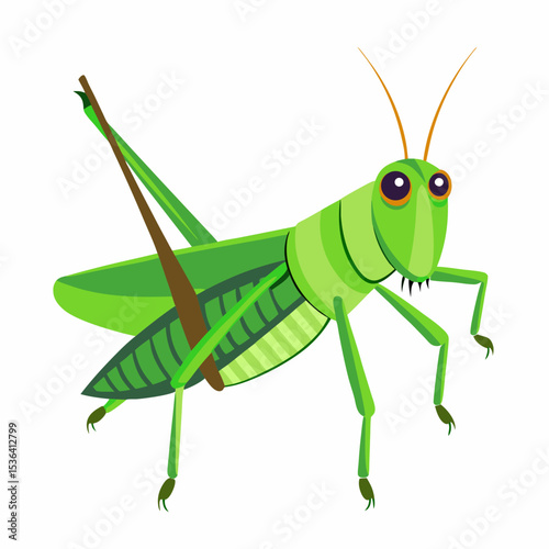 green grasshopper on a white background