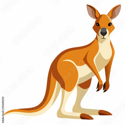 illustration of a kangaroo