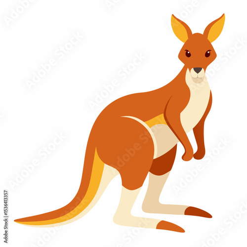 kangaroo vector illustration