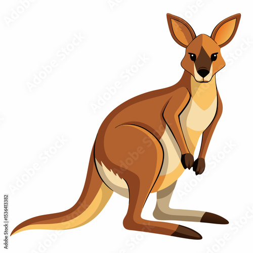 kangaroo with baby