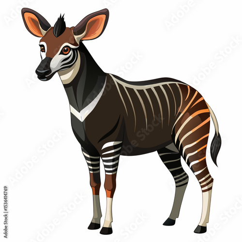 zebra isolated on white