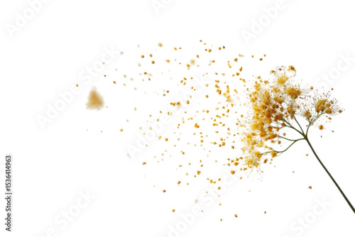 Abstract Explosion of a Golden Flower