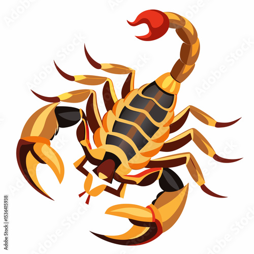 scorpion vector illustration