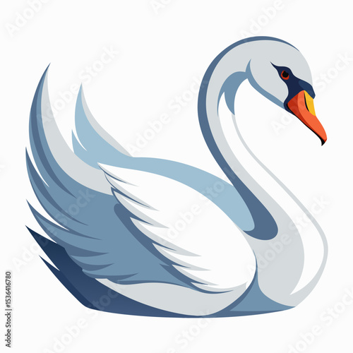 swans on the water
