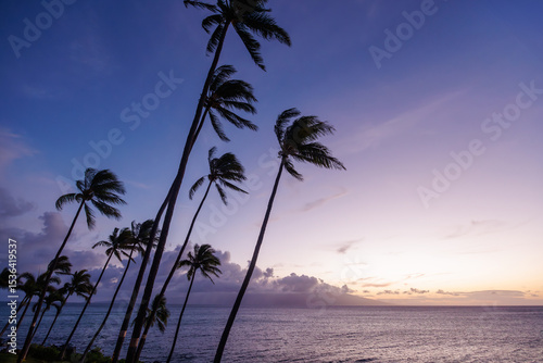 Fototapeta Naklejka Na Ścianę i Meble -  Stunning Hawaii ocean sunset with silhouettes of palm trees swaying against a vibrant sky